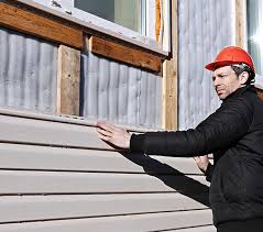 Best Custom Trim and Detailing for Siding  in Palm Springs North, FL